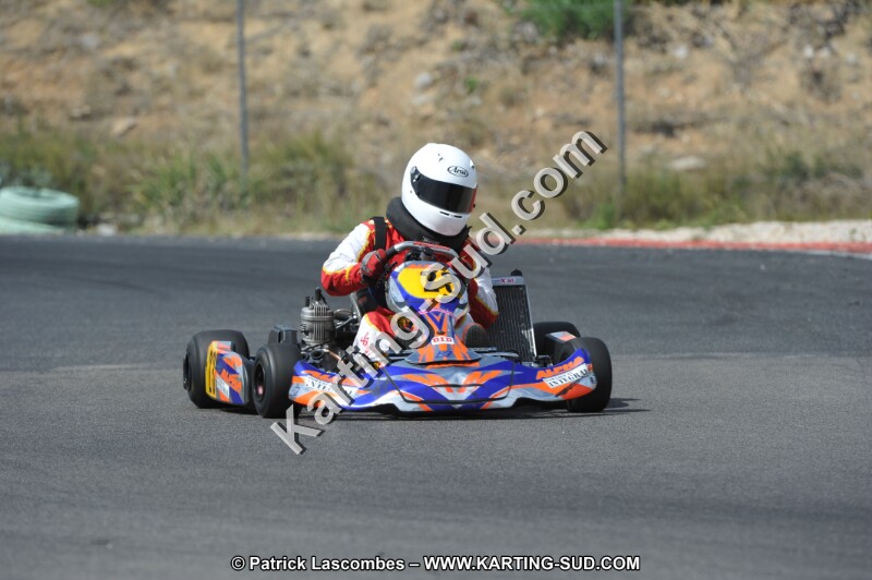 DSC (3216).JPG